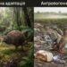 Фото, згенероване ШІ