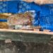 Понад 300 тисяч порцій за чотири з половиною роки війни вдалося відправити нашим Захисникам.