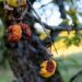 Фото ілюстративне: pixabay.com
