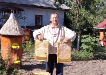 Догляд за бджолами – улюблене заняття пасічника. Фото з архіву Юрія Гетьмана.